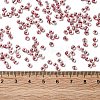 6/0 Transparent Glass Seed Beads SEED-F003-03A-03-4