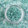 8/0 Glass Seed Beads SEED-A016-3mm-216-4