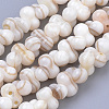 Natural Freshwater Shell Beads Strands X-SHEL-Q015-01-1