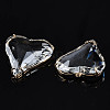 Transparent Glass Pendants X-GLAA-Q088-022-5