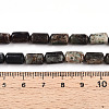 Natural Biotite Beads Strands G-N346-01B-02-5