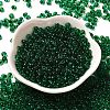 Transparent Colours Glass Seed Beads SEED-P006-02A-09-2