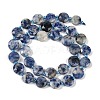 Natural Blue Spot Jasper Beads Strands G-C116-A79-01-3