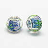 Rondelle Lampwork Large Hole European Beads LPDL-R003-05-2