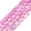 Natural Trochus Shell Beads Strands SHEL-K006-19-2