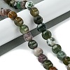 Natural Indian Agate Beads Strands G-H023-A06-01-1