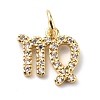 Brass Micro Pave Cubic Zirconia Charms ZIRC-F131-16G-01-1