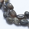 Natural Labradorite Beads Strands X-G-E483-60-3