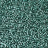 FGB 11/0 Grade A Glass Seed Beads SEED-S030-1209-2