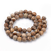 Natural Picture Jasper Beads Strands G-S259-27-8mm-2