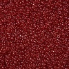 MIYUKI Round Rocailles Beads X-SEED-G007-RR0141-3