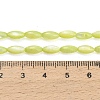 Natural Freshwater Shell Beads Strands SHEL-C010-01D-4