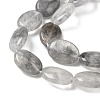 Natural Cloudy Quartz Beads Strands G-F790-A03-03-4