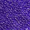 TOHO Round Seed Beads SEED-JPTR08-0116-2