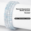2 Strands Natural Aquamarine Beads Strands G-OC0005-41-4