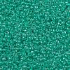 TOHO 11/0 Round Beads X-SEED-TR11-1832-2