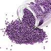 MIYUKI Delica Beads LS-X-SEED-J020-DB2508-1