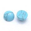 Synthetic Turquoise Cabochons X-G-P393-R13-6mm-2