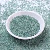 MIYUKI Round Rocailles Beads SEED-G007-RR0277-2