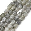 Natural Labradorite Beads Strands G-P623-A03-01-2