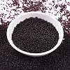 MIYUKI Round Rocailles Beads X-SEED-G009-RR2402-2