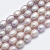 Natural Cultured Freshwater Pearl Beads Strands PEAR-F007-85-01-2