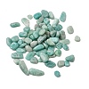 Natural Amazonite Chip Beads G-M364-04B-4