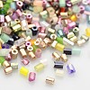 Faceted Two Cut Glass Seed Beads SEED-L001-04-1