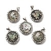 Brass with Natural Shell Carved Pendants KK-Z091-06P-01-1