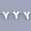 Natural Sea Shell Beads X-SHEL-T012-60Y-1