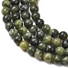 Natural Taiwan Jade Beads Strands Z0NCT012-9