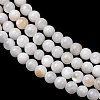 Natural Freshwater Shell Beads Strands SH-CBA2978-07D-02-2