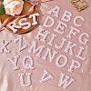Cloth Hotfix Rhinestone Iron on/Sew on Patches DIY-WH0321-80-5