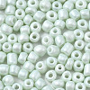 6/0 Glass Seed Beads SEED-S058-A-F408-3