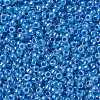 TOHO 8/0 Round Beads X-SEED-TR08-0917-2