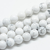 Natural Howlite Beads Strands X-G-T049-6mm-21-1