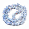 Natural Freshwater Shell Beads Strands SHEL-N003-23-B02-2