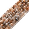 Natural Multi-Moonstone Beads Strands G-I341-06-1