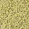 TOHO 11/0 Round Beads SEED-TR11-0559-2