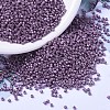 MIYUKI Delica Beads SEED-X0054-DB1173-1