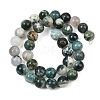 Natural Tree Agate Beads Strands X-G-I199-03-10mm-5
