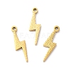 Ion Plating(IP) 316L Surgical Stainless Steel Pendants STAS-H213-01G-3