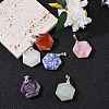 6Pcs 6 Style Natural Mixed Gemstone Pendants G-SZ0001-36-5