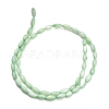Natural Freshwater Shell Beads Strands SHEL-C010-01-4