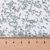 Cylinder Seed Beads SEED-H001-G08-2
