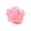 Opaque Acrylic Pendants PALLOY-JF03305-02-4