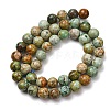 Natural Peruvian Turquoise(Jasper) Beads Strands G-T150-A01-8mm-4
