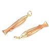 Rack Plating Brass Pendants KK-CBAB1AF-16A-G-2
