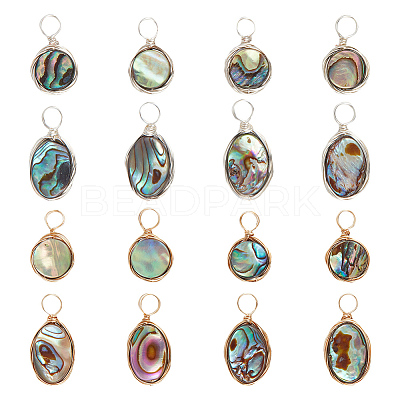 16Pcs 4 Styles Natural Abalone Shell/Paua Shell Pendants SHEL-GA0001-11-1