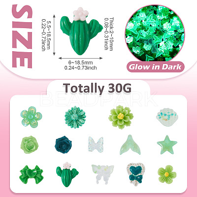 30g Luminous Opaque Resin Cabochons CRES-TA0001-55B-1